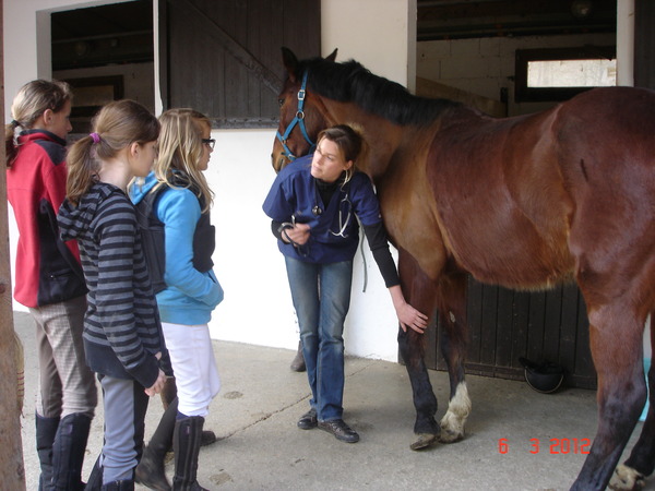 Rencontre equestre luneville 2016 programme