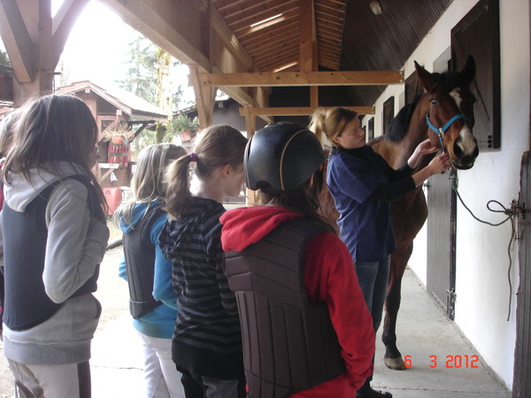 Rencontre veuf