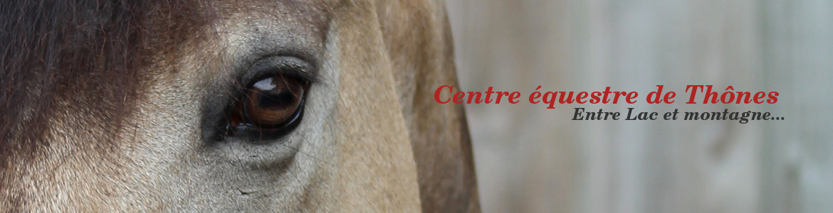 Centre équestre de Thônes